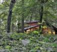 Sherwood Forest Lodges