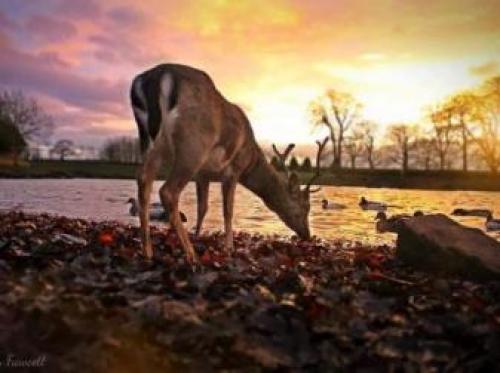 Whitworth Hall Hotel & Deer Park - Durham, Spennymoor, 