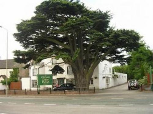 Old School Mews, Rugeley, 