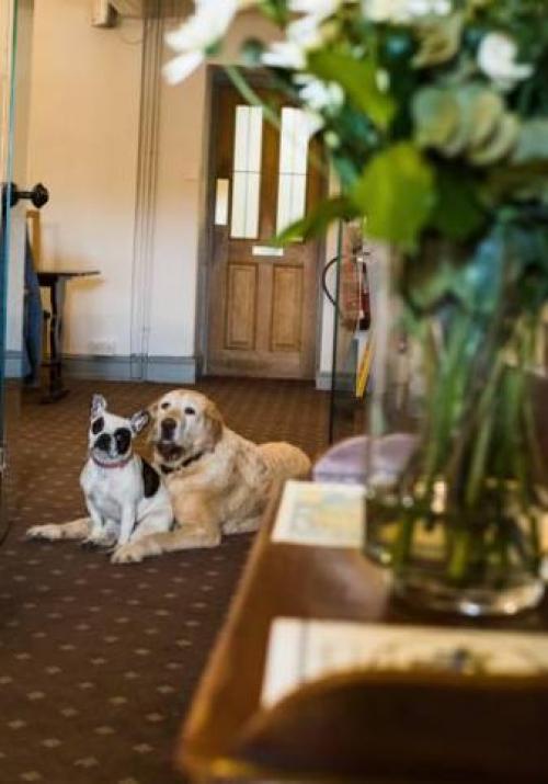 The West House, Llantwit Major, 