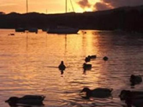 Monties Guest House, Bowness on Windermere, 