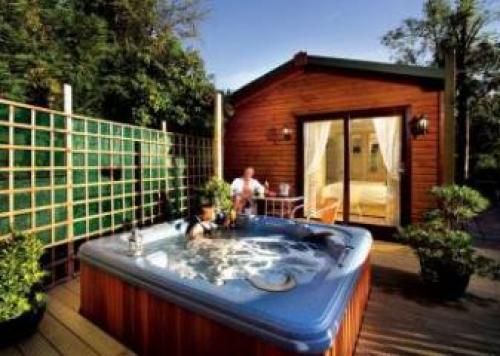 Avon Wood, Newby Bridge, Cumbria