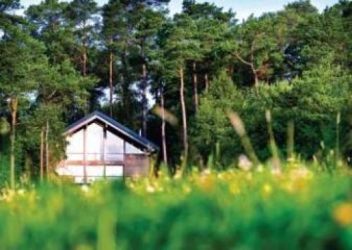 Keldy Forest, Cropton, North Yorkshire