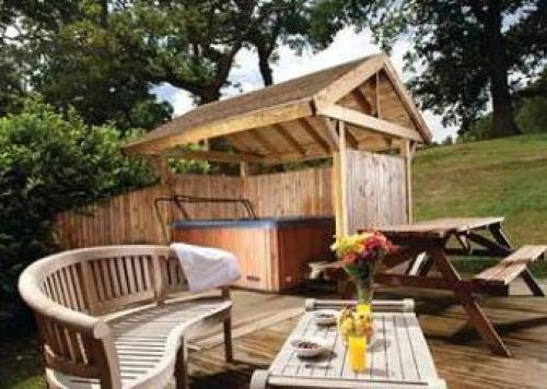 Tantara Woodland, Pickering, North Yorkshire