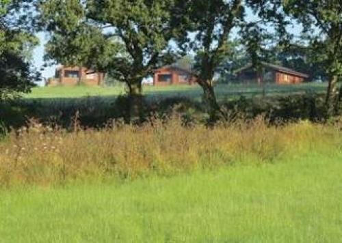 South Trew Lodges, Beaworthy, Devon
